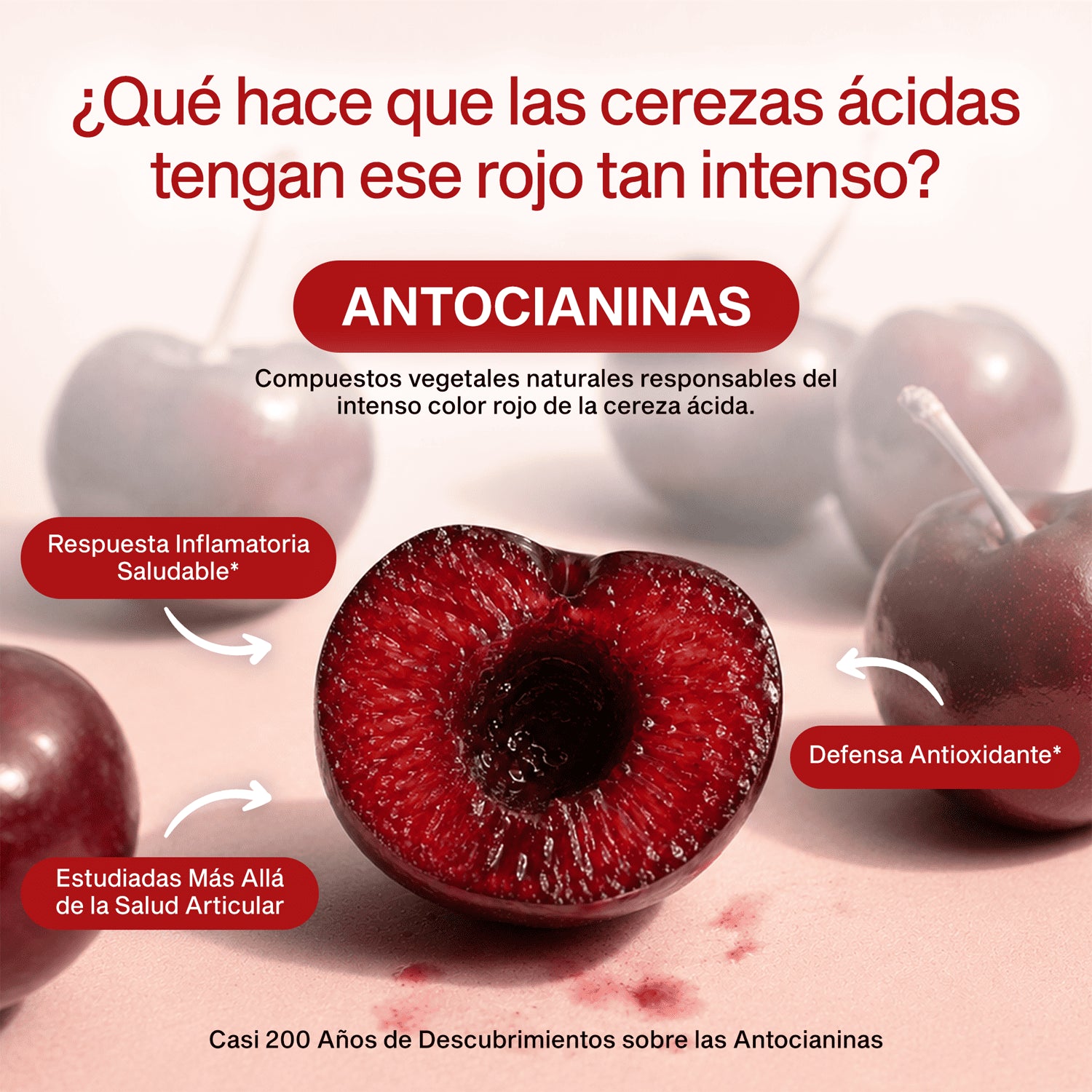 main-img
